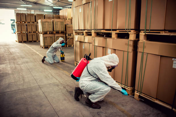 Professional Pest Control in Garfield, TX