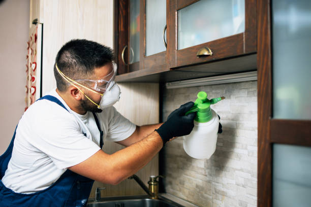 Flea Control Services in Garfield, TX