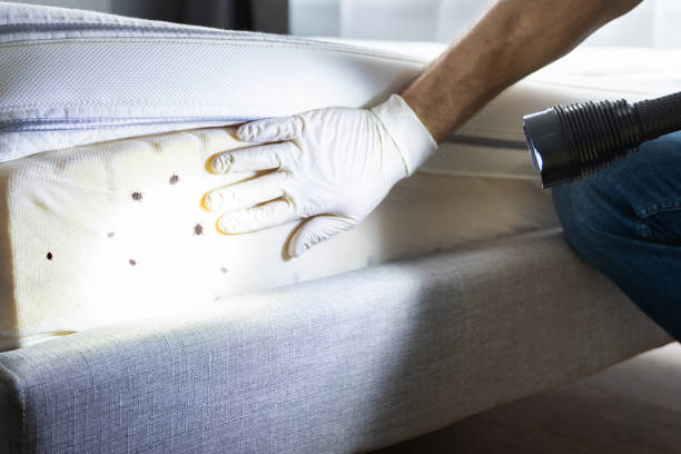 Best Pest Control Cost  in Garfield, TX