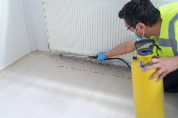 Best Wasp Removal Services  in Garfield, TX