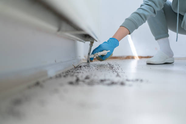 Best Best Pest Control Companies  in Garfield, TX