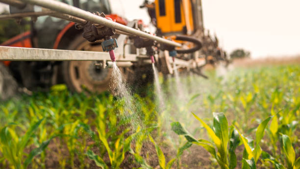 Pest Control Cost in Garfield, TX